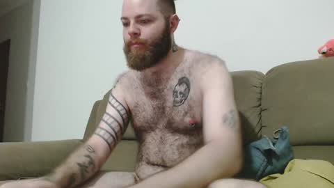 Snapshot of hornyhairy_bi chatting on February 2025 12:20:02 AM Harry online show from February 2025 12:20:02 AM