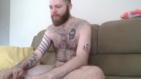 Snapshot of hornyhairy_bi chatting on February 2025 03:20:01 PM Harry online show from February 2025 03:20:01 PM