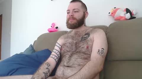 Snapshot of hornyhairy_bi chatting on February 2025 03:42:02 PM Harry online show from February 2025 03:42:02 PM