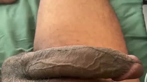 Bbc horsey online show from January 2026 07:19:01 PM