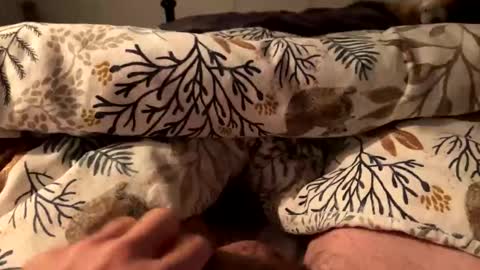 hot_for_you_ online show from October 2025 12:57:01 AM