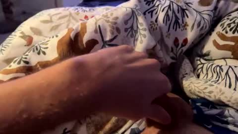 hot_for_you_ online show from November 2025 01:49:02 AM