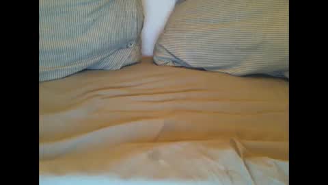 Snapshot of hot_lars chatting on March 2025 11:26:01 PM Lars online show from March 2025 11:26:01 PM