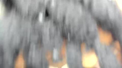 hot_moxie online show from November 2025 04:43:02 AM