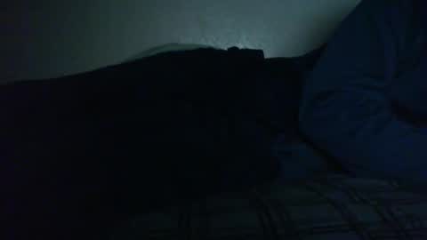 Bitch for abuse online show from November 2025 06:43:02 PM