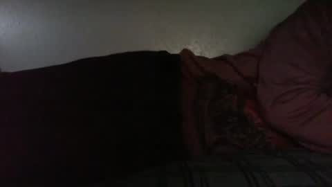 Bitch for abuse online show from April 2026 06:41:01 PM