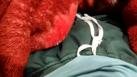 Aay whoosh online show from March 2025 08:45:01 AM