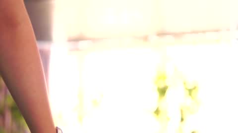 Anais online show from October 2025 08:33:02 AM