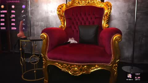 Mistress online show from December 2024 09:43:02 AM