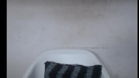 hotjessie0 online show from September 2025 05:44:01 AM