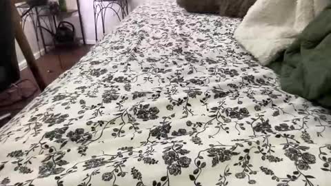 Snapshot of hotmama6666 chatting on February 2026 12:05:02 AM Annabelle online show from February 2026 12:05:02 AM