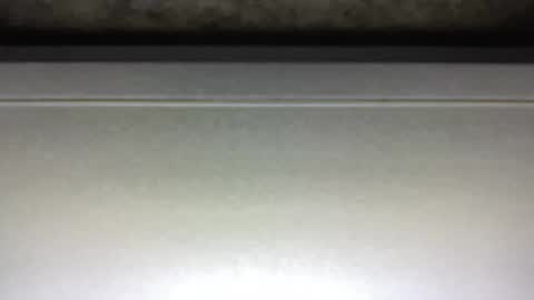 Snapshot of hotsexythighs chatting on February 2025 03:23:02 AM Jack online show from February 2025 03:23:02 AM