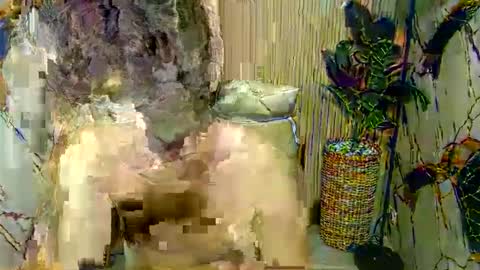 hottestloues online show from April 2026 02:59:02 PM