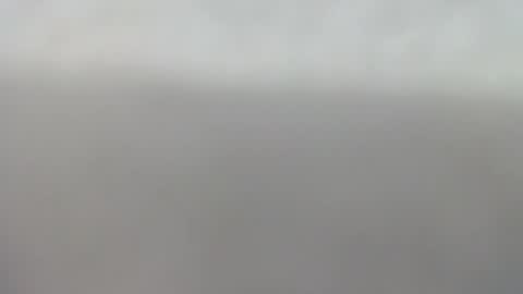 Slutty little female cat online show from September 2025 04:56:01 AM