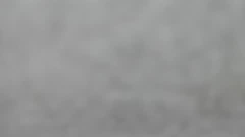 Slutty little female cat online show from September 2025 04:44:01 AM