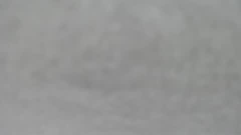 Slutty little female cat online show from October 2025 04:35:02 AM