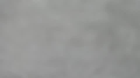 Slutty little female cat online show from November 2025 04:40:02 AM