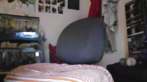 hrnyymff online show from November 2025 05:04:02 PM