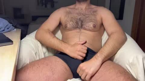 huge_moth online show from March 2025 09:36:02 PM