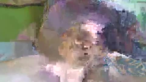 hugo_theboss_ online show from February 2025 12:06:01 PM