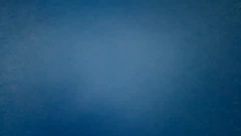 hummelbummel00 online show from February 2026 06:26:02 PM