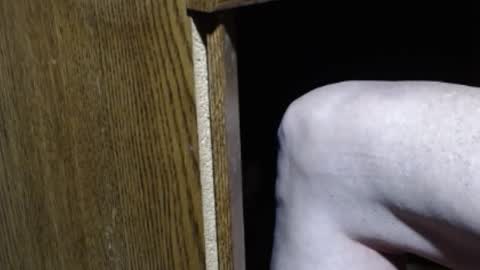 hungsofine online show from January 2025 08:57:02 PM