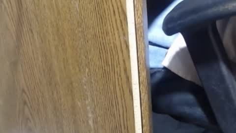 hungsofine online show from January 2025 10:03:01 PM