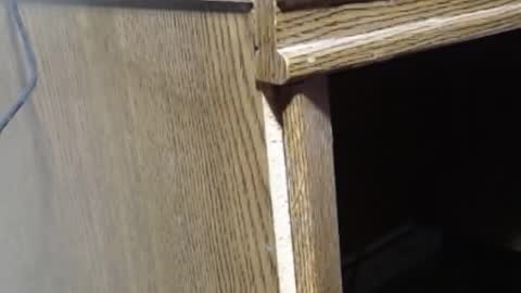 hungsofine online show from February 2025 06:54:02 PM