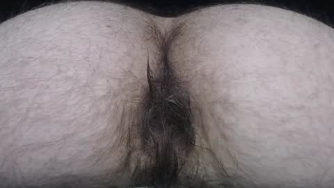  I AM NOT A DIRECTOR I AM THE BOSS            KINGDADDYSIRSTR8ALPHAMASTER online show from December 2024 03:37:01 PM