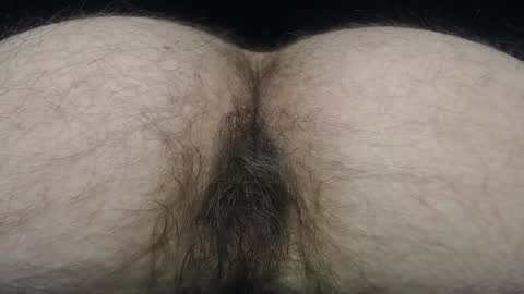  I AM NOT A DIRECTOR I AM THE BOSS            KINGDADDYSIRSTR8ALPHAMASTER online show from January 2025 02:25:01 PM