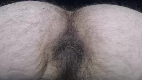  I AM NOT A DIRECTOR I AM THE BOSS            KINGDADDYSIRSTR8ALPHAMASTER online show from February 2025 03:56:02 PM