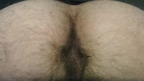  I AM NOT A DIRECTOR I AM THE BOSS            KINGDADDYSIRSTR8ALPHAMASTER online show from February 2025 03:31:02 PM