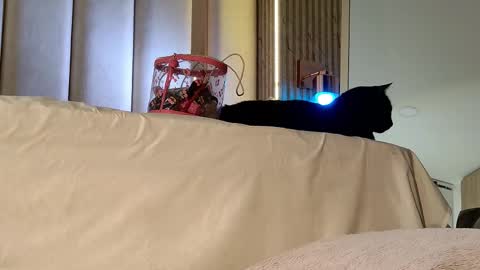 Nyxy online show from November 2025 10:04:02 AM