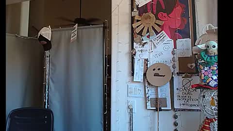 PMS online show from December 2024 06:27:01 PM