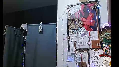 PMS online show from December 2024 03:47:02 AM