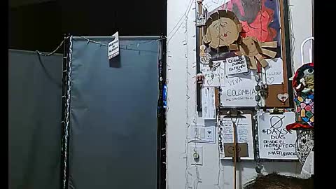 PMS online show from December 2024 08:37:02 AM