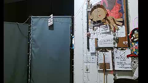 PMS online show from December 2024 11:42:02 AM