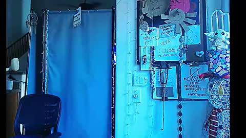 PMS online show from December 2024 05:51:02 PM