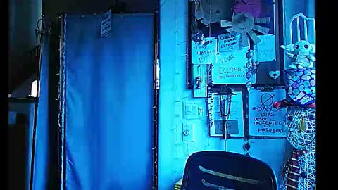 PMS online show from January 2025 12:11:01 AM