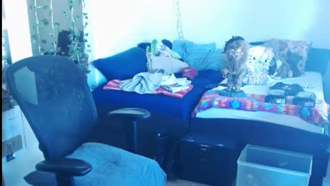 PMS online show from February 2025 05:42:01 PM