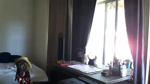 PMS online show from October 2025 03:45:01 PM