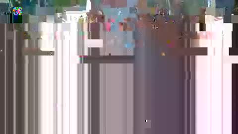 PMS online show from November 2025 01:26:02 AM