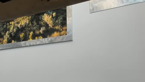 idfunguy2023 online show from January 2025 08:15:01 PM