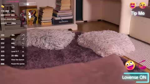 Little Flower online show from September 2025 03:46:02 PM