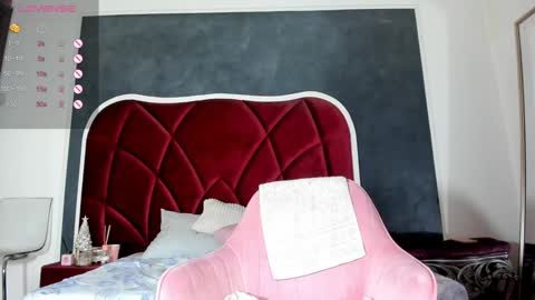 illegal_lorry online show from December 2024 11:11:02 AM