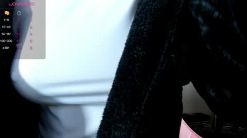 illegal_lorry online show from December 2024 04:53:02 AM