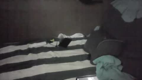 iloveitall86 online show from November 2025 06:01:01 AM