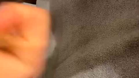 iltjoal69 online show from March 2025 10:33:02 AM