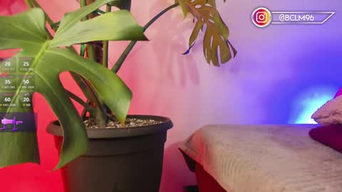 Bryan online show from February 2025 05:47:02 AM