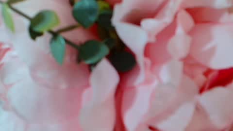 Carrie online show from January 2025 05:07:02 AM